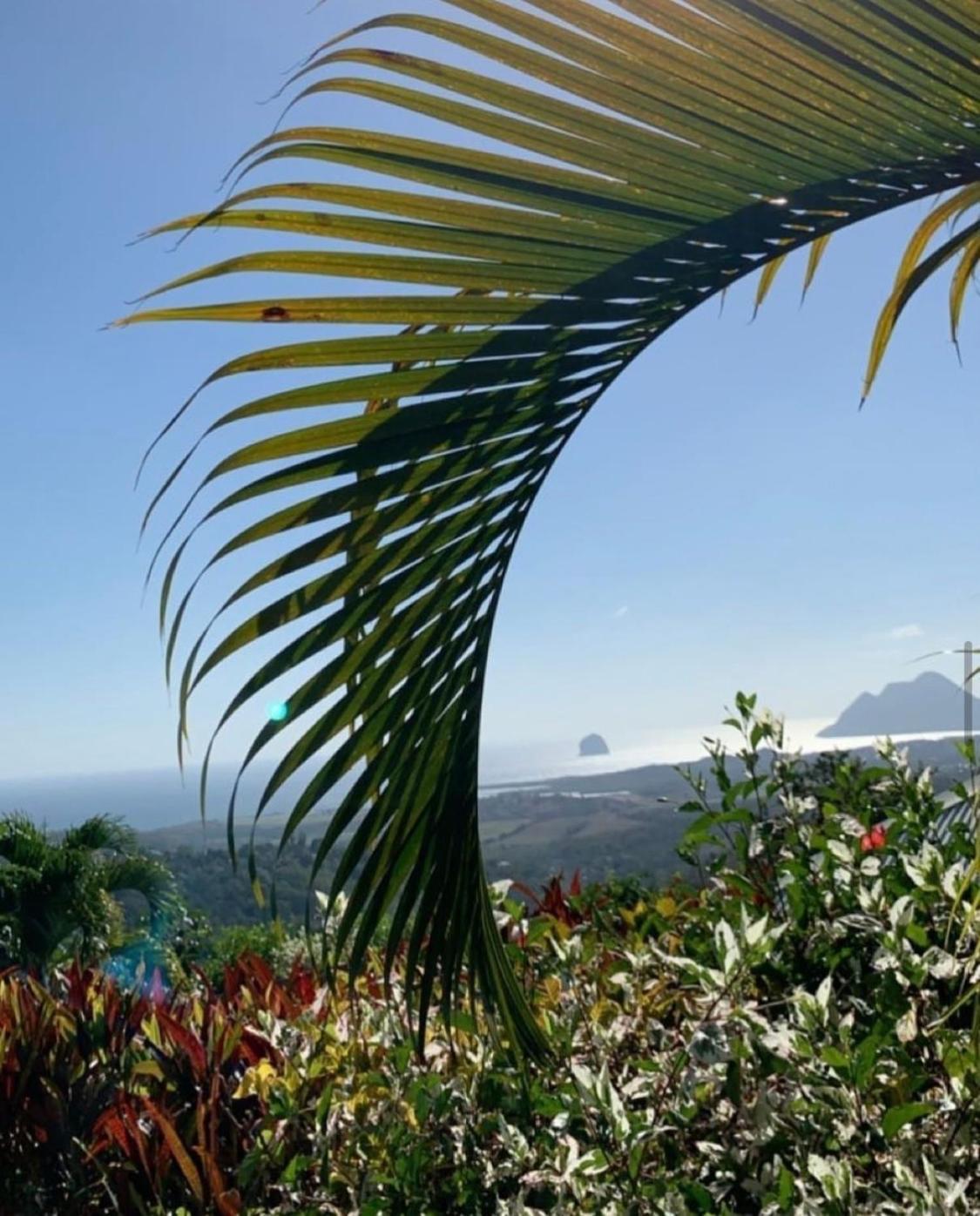 Les Villas Pameyaque 2 F2 Avec 1 Piscine Et 1 F3 Avec 1 Piscine, Superbe Vue Sur La Mer Riviere-Salee Luaran gambar