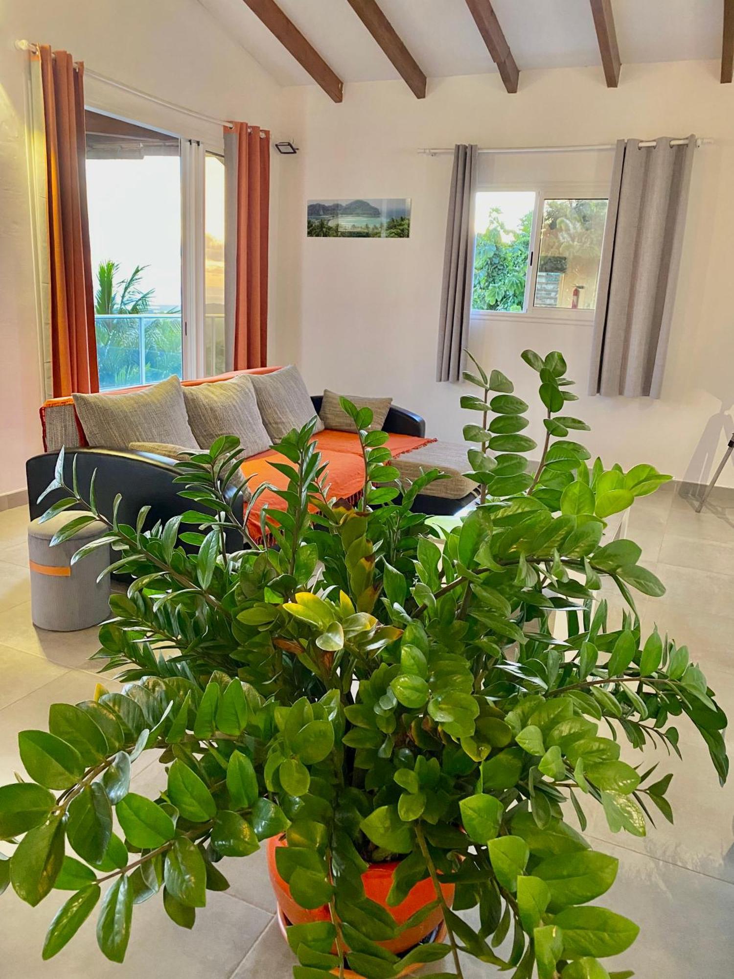 Les Villas Pameyaque 2 F2 Avec 1 Piscine Et 1 F3 Avec 1 Piscine, Superbe Vue Sur La Mer Riviere-Salee Luaran gambar
